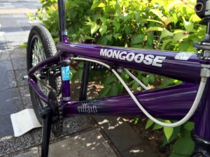 mongoose002