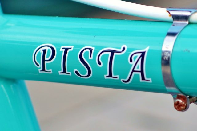 2010 Bianchi PISTA (3)